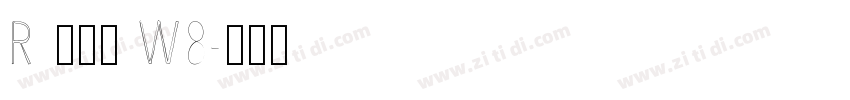 R 儷金黑 W8字体转换